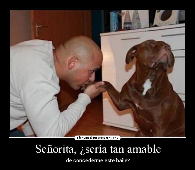 Señorita, ¿sería tan amable - 