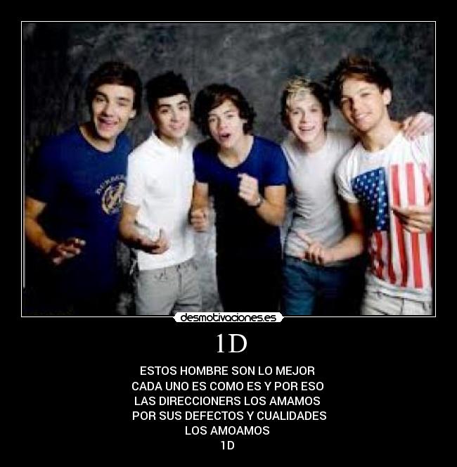 carteles one direction desmotivaciones