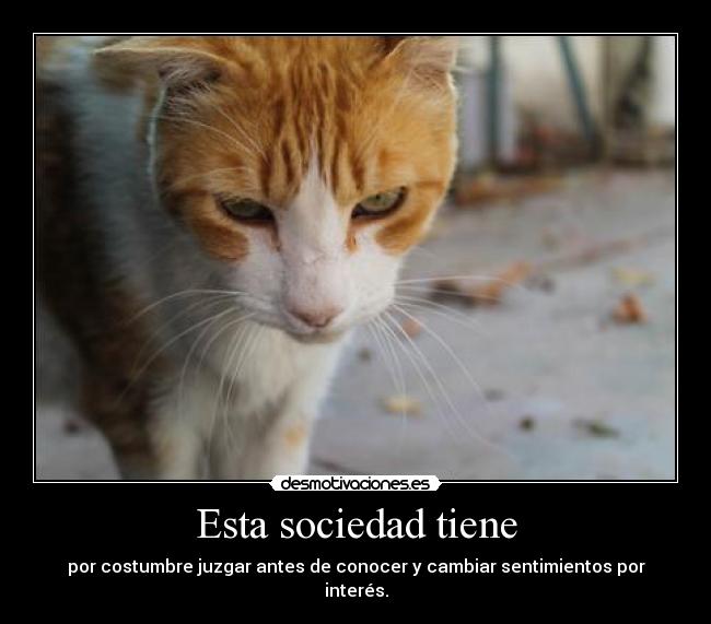 Esta sociedad tiene - 