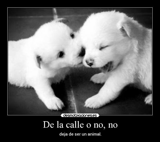 De la calle o no, no - 
