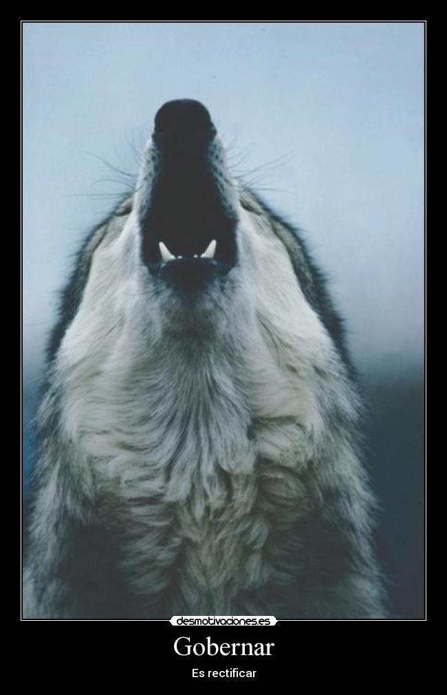 Gobernar - Es rectificar