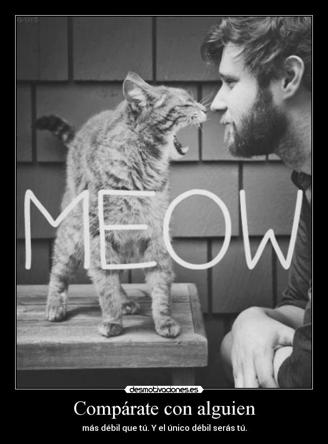 carteles una paja del intelecto desmotivaciones