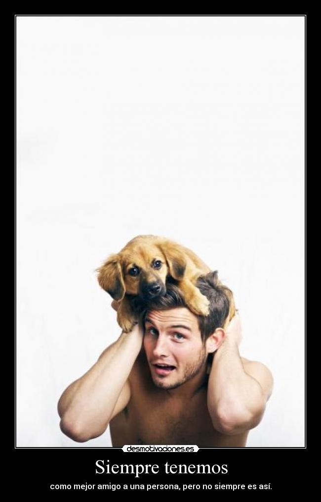 Siempre tenemos - como mejor amigo a una persona, pero no siempre es así.