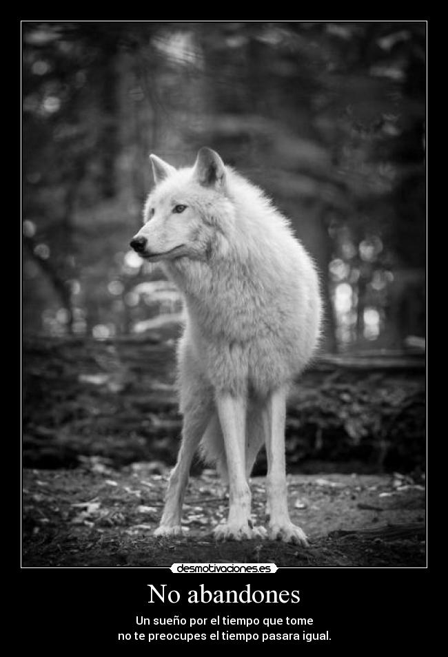 No abandones -