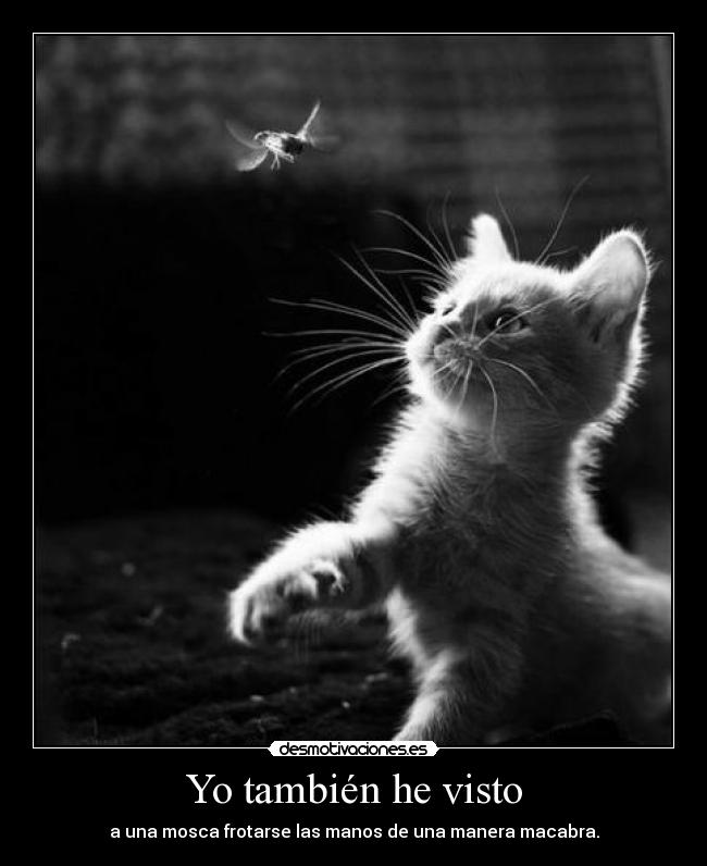 Yo también he visto - a una mosca frotarse las manos de una manera macabra.