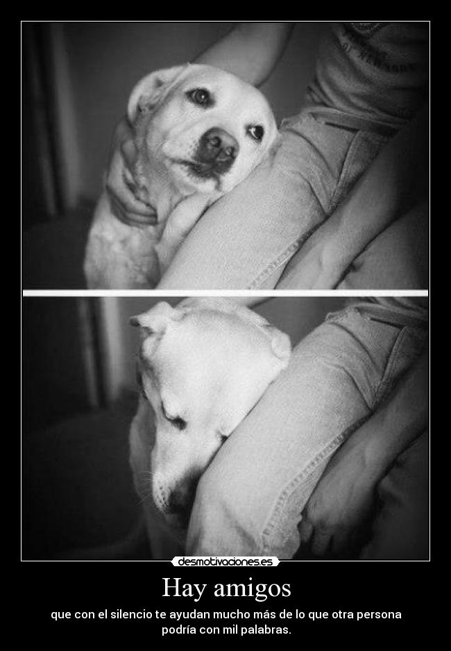 Hay amigos -