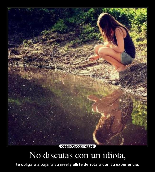 No discutas con un idiota, -