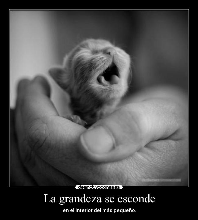 La grandeza se esconde - 