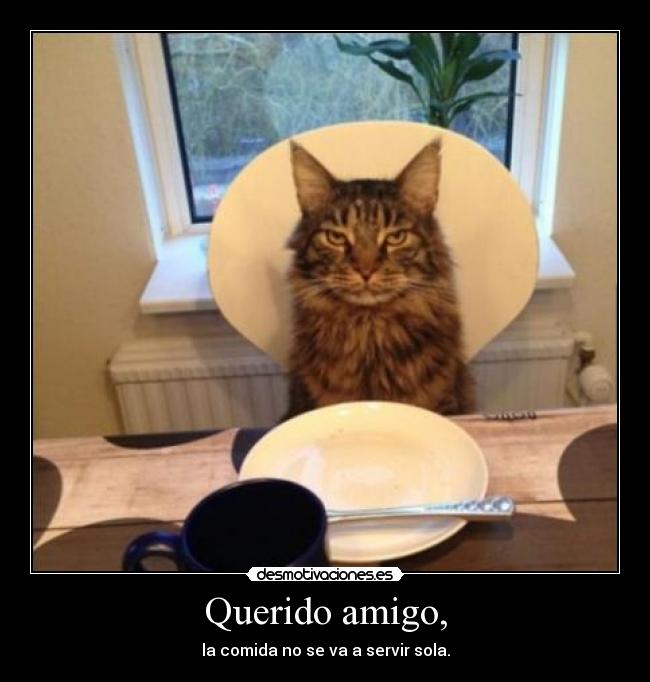Querido amigo, - la comida no se va a servir sola.
