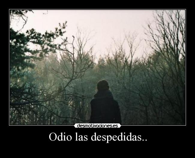 Odio las despedidas.. -