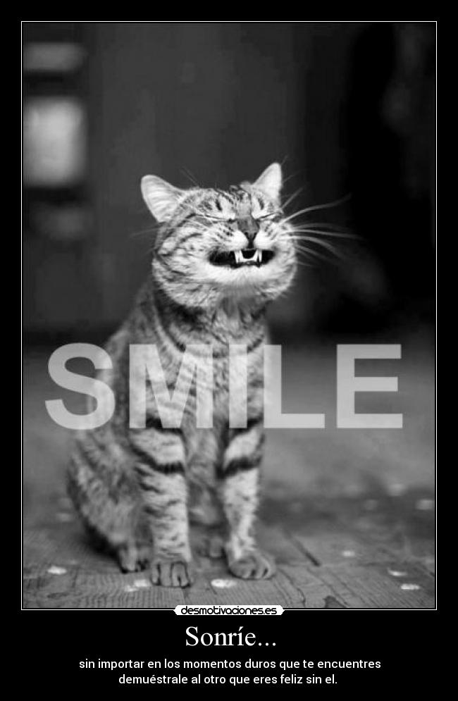 Sonríe... - 