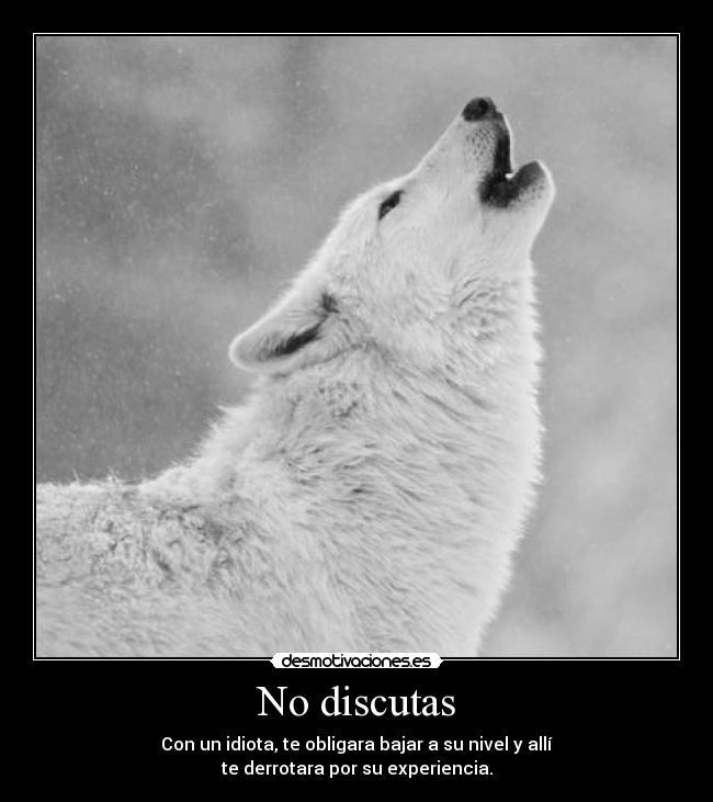 No discutas - Con un idiota, te obligara bajar a su nivel y allí
te derrotara por su experiencia.