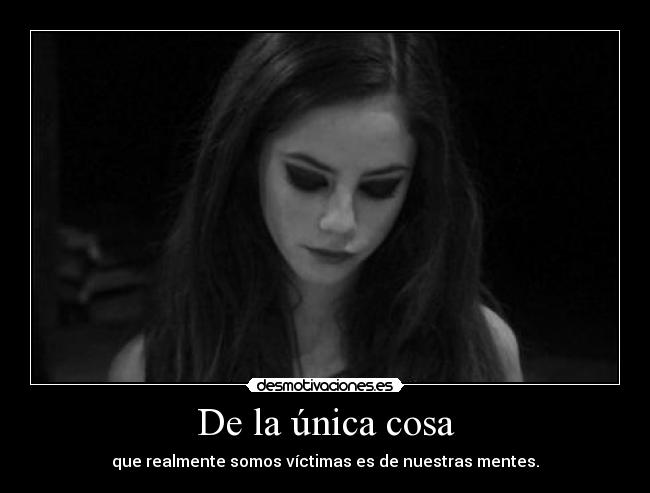 carteles rebelde89 unicorniosfelices skins vereis que cartelaco 700 desmotivaciones