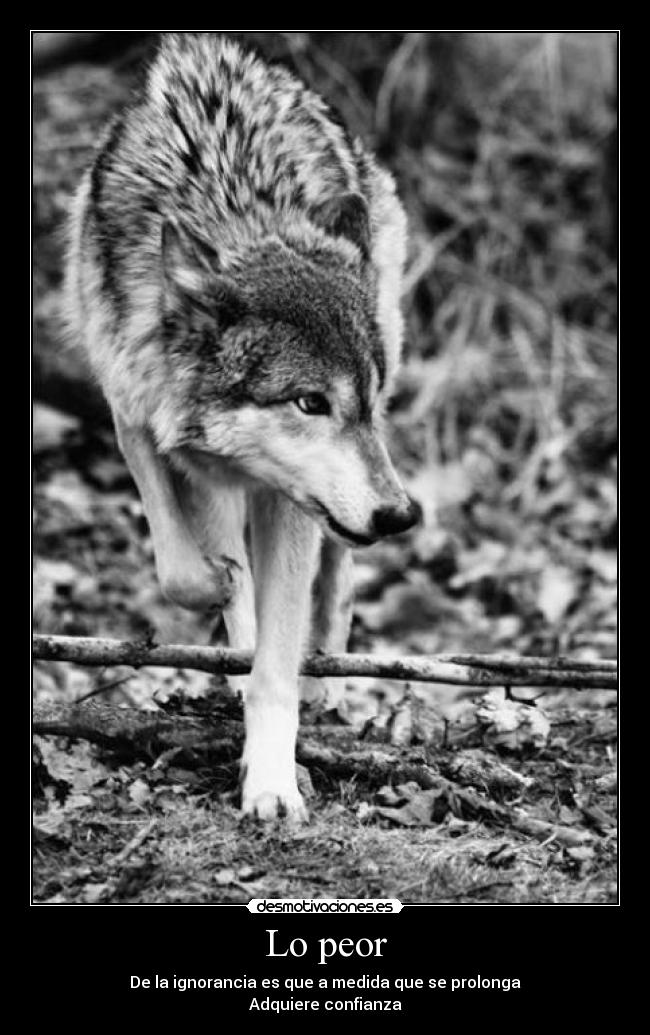 Lo peor - De la ignorancia es que a medida que se prolonga
Adquiere confianza