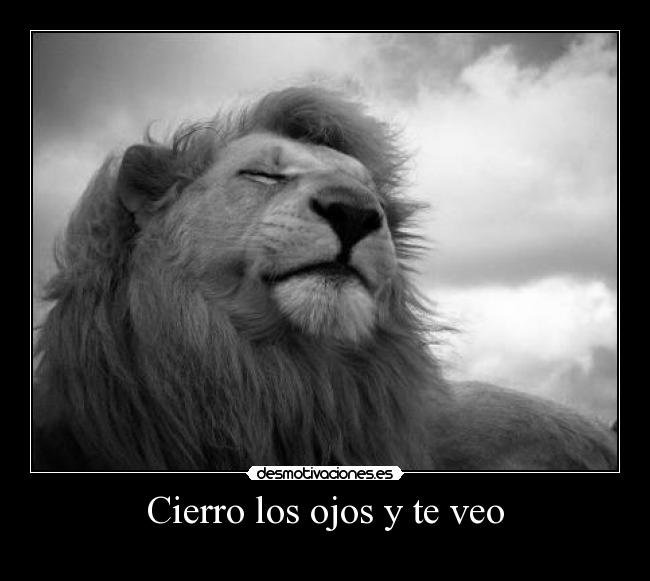 Cierro los ojos y te veo -