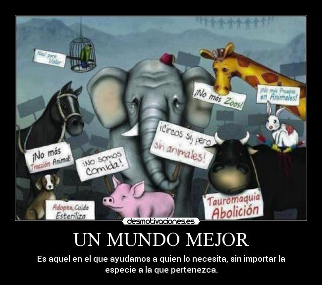 UN MUNDO MEJOR - Es aquel en el que ayudamos a quien lo necesita, sin importar la
especie a la que pertenezca.