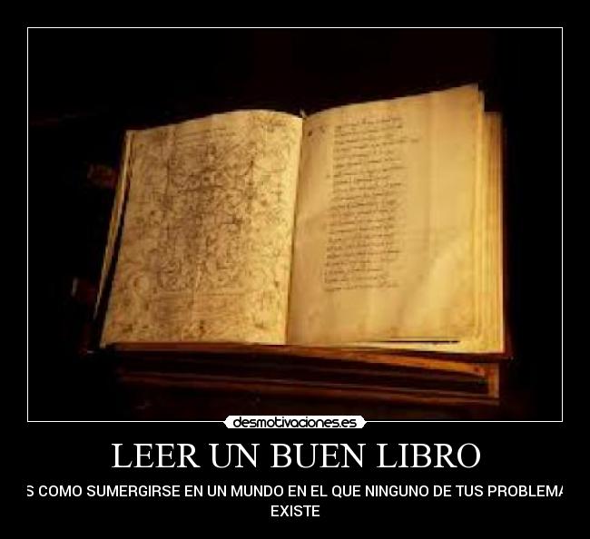 carteles buen libro desmotivaciones