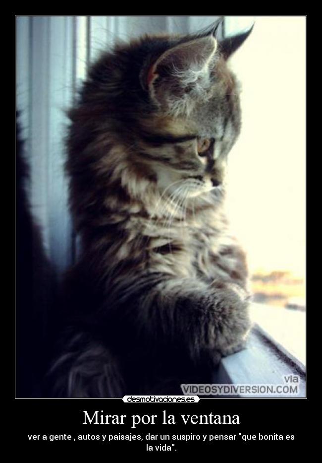 Mirar por la ventana -