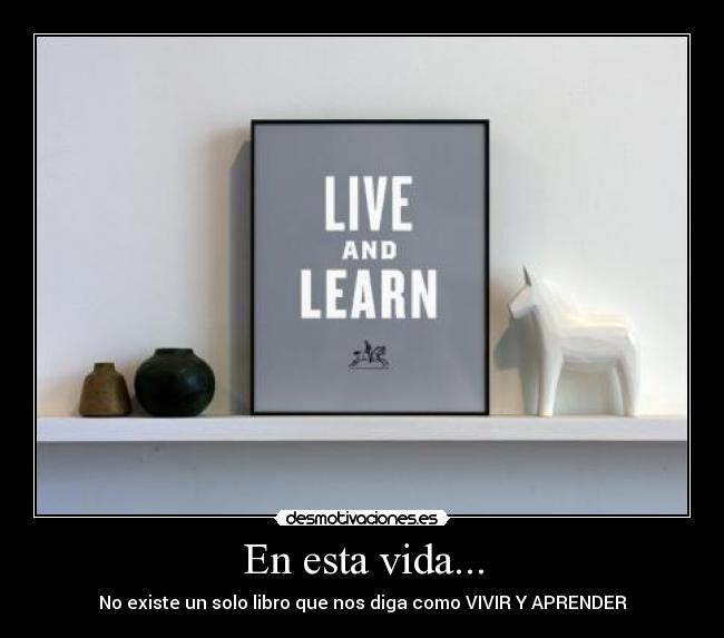 En esta vida... - No existe un solo libro que nos diga como VIVIR Y APRENDER