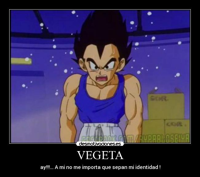 VEGETA -