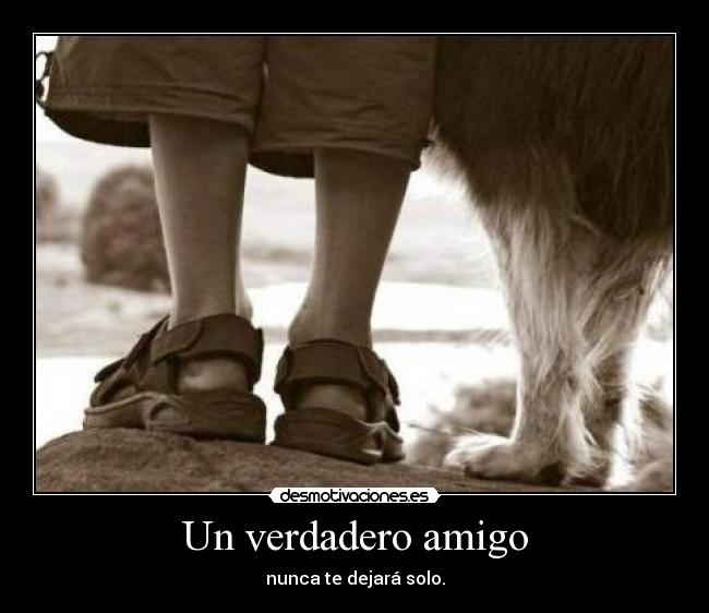 Un verdadero amigo - nunca te dejará solo.