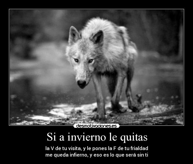 carteles jabatojones pablohasel yew vuelvo clanrap ehcapam desmotivaciones