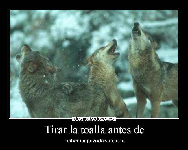 Tirar la toalla antes de - haber empezado siquiera