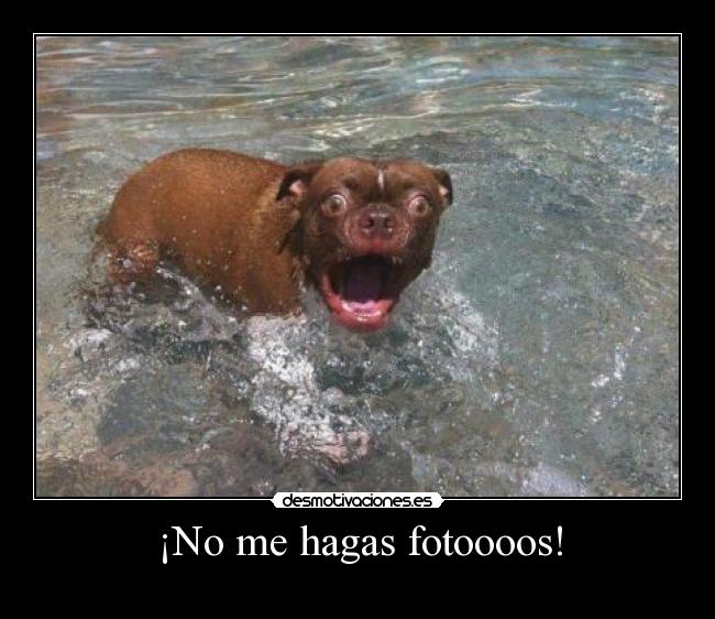 ¡No me hagas fotoooos! -