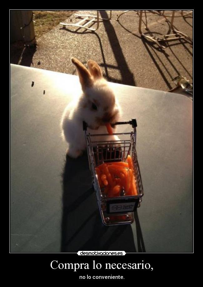 Compra lo necesario, -