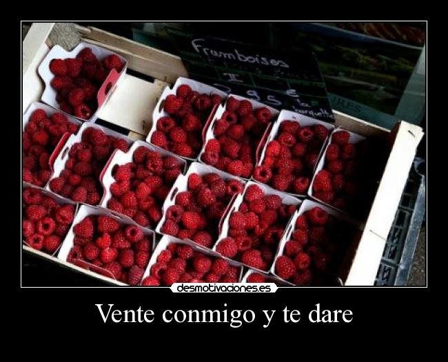 Vente conmigo y te dare -