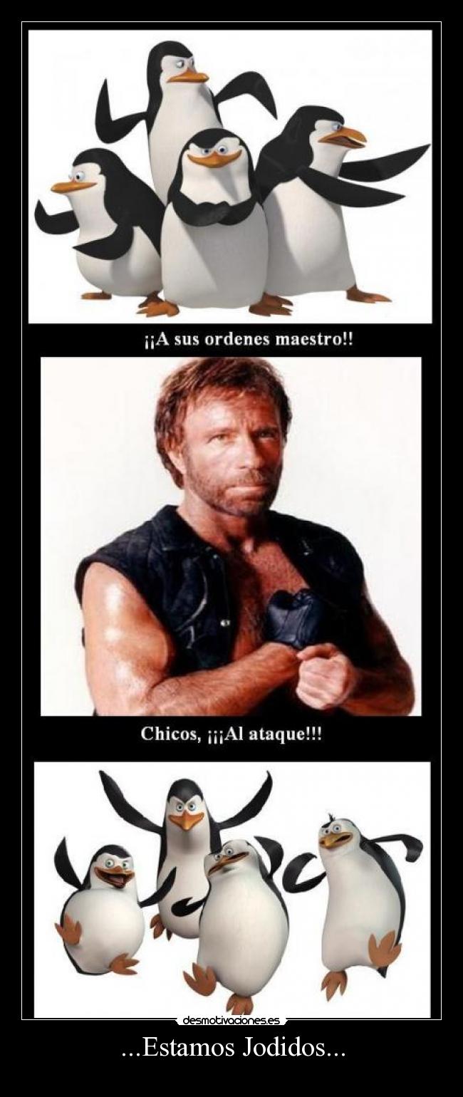 carteles pinguinos madagascar chuck norris dante88 desmotivaciones