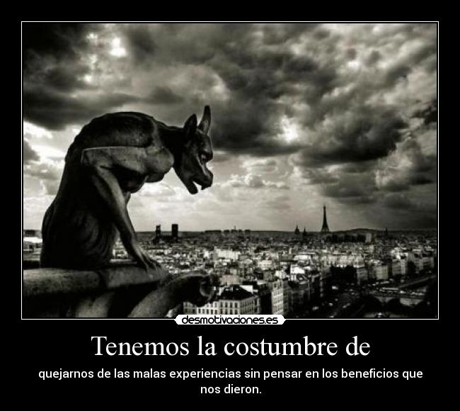 carteles fede28 desmotivaciones