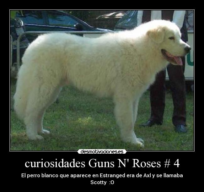 curiosidades Guns N Roses # 4 - 