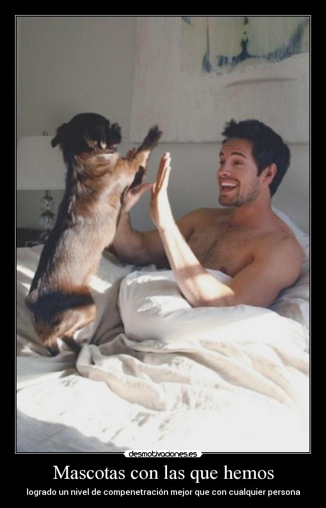 Mascotas con las que hemos - 