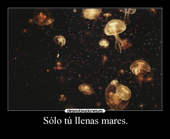 carteles echo menos olor sabor tacto desmotivaciones