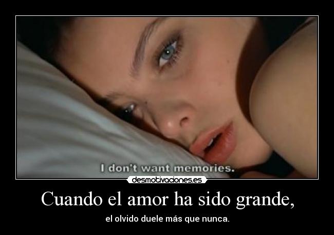Cuando el amor ha sido grande, - el olvido duele más que nunca.