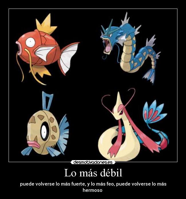 carteles pokemon magikarp gyarados feebas milotic belleza fealdad fuerza debilidad desmotivaciones