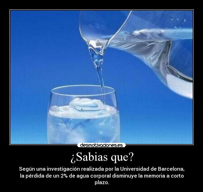 ¿Sabias que? - Según una investigación realizada por la Universidad de Barcelona,
la pérdida de un 2% de agua corporal disminuye la memoria a corto
plazo.