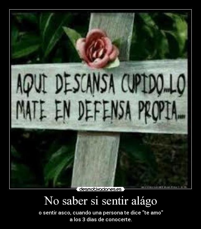 No saber si sentir alágo - o sentir asco, cuando una persona te dice te amo
a los 3 días de conocerte.