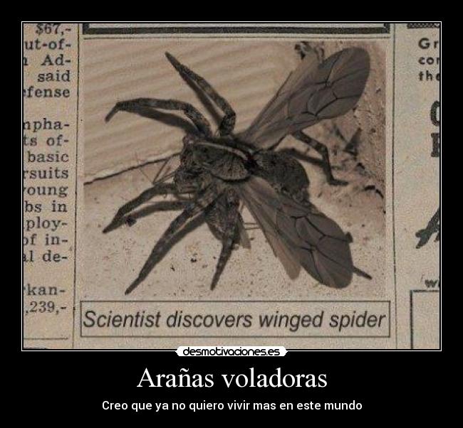 Arañas voladoras - Creo que ya no quiero vivir mas en este mundo