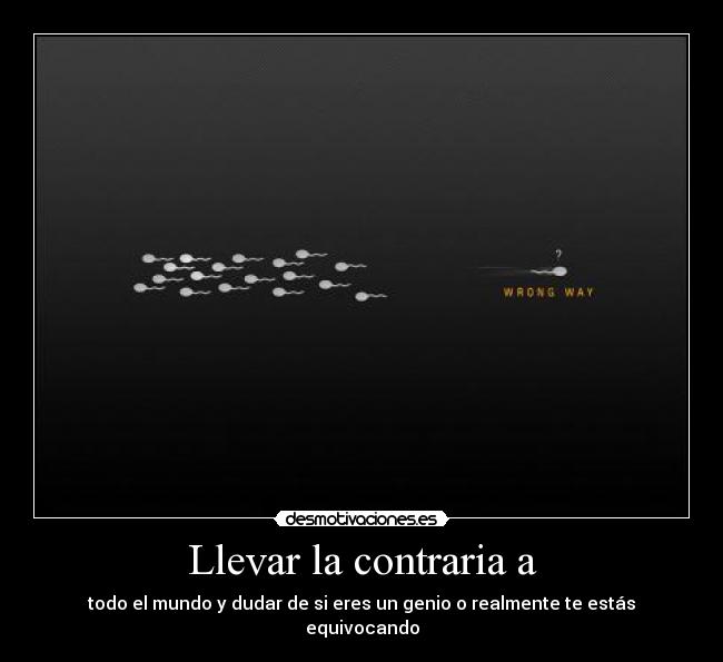 Llevar la contraria a -