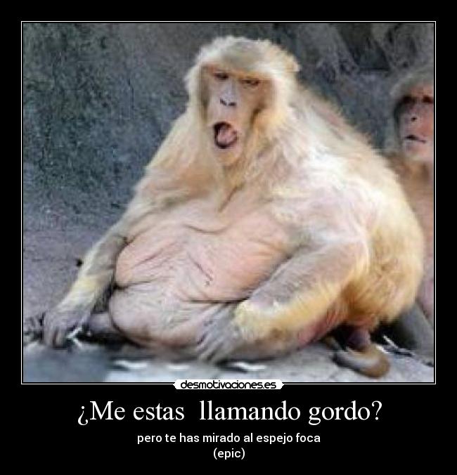 ¿Me estas llamando gordo? -