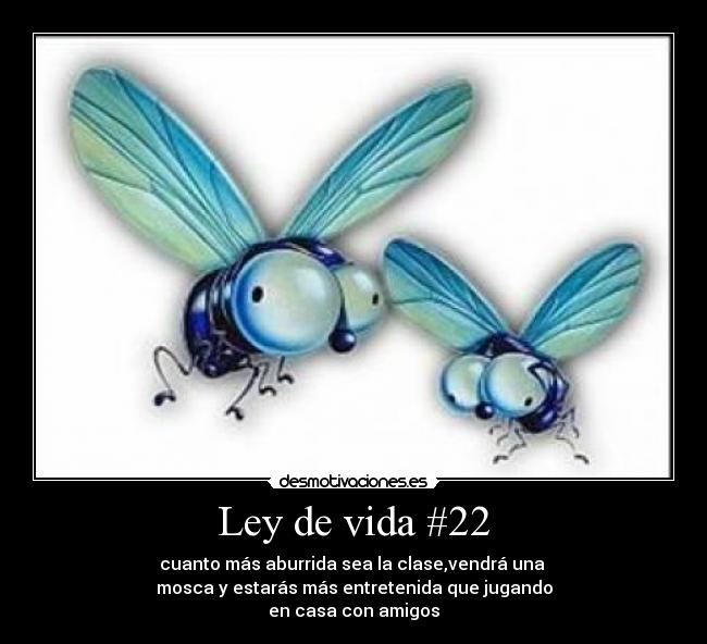 Ley de vida #22 - 