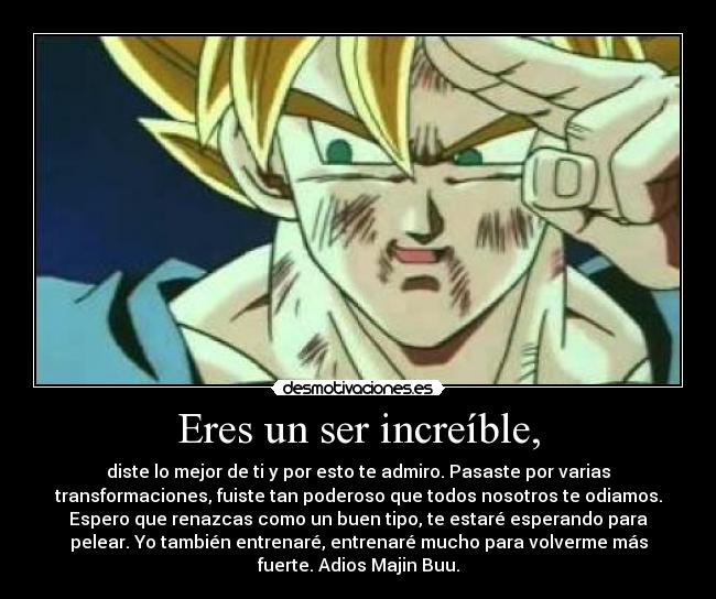 Eres un ser increíble, - diste lo mejor de ti y por esto te admiro. Pasaste por varias
transformaciones, fuiste tan poderoso que todos nosotros te odiamos.
Espero que renazcas como un buen tipo, te estaré esperando para
pelear. Yo también entrenaré, entrenaré mucho para volverme más
fuerte. Adios Majin Buu.