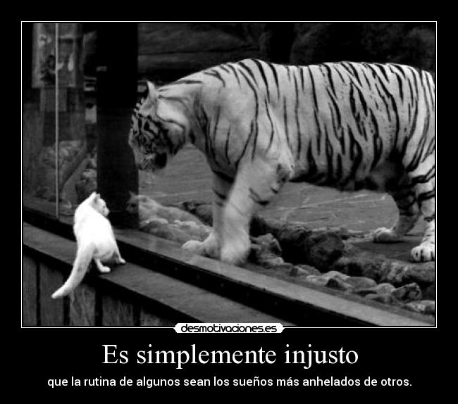 Es simplemente injusto -