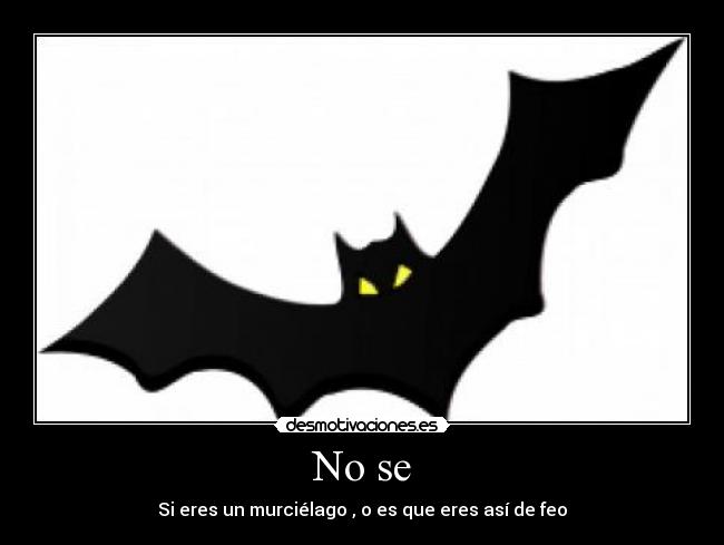 No se - Si eres un murciélago , o es que eres así de feo