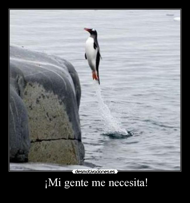 carteles thefuker desmotivaciones