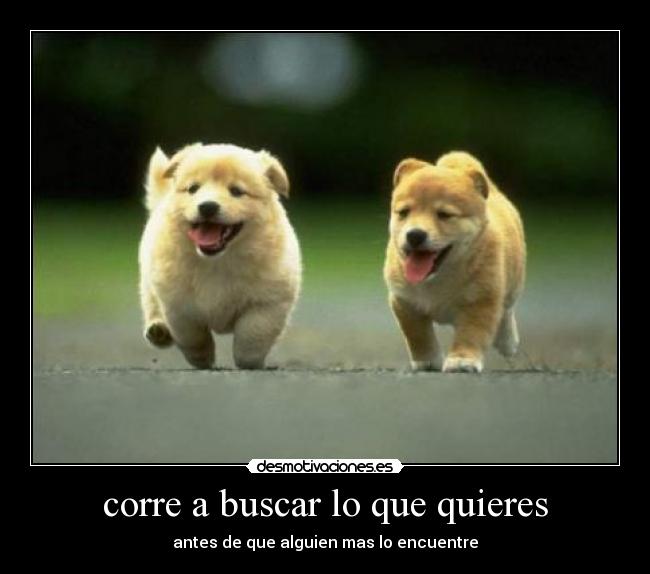 corre a buscar lo que quieres - 