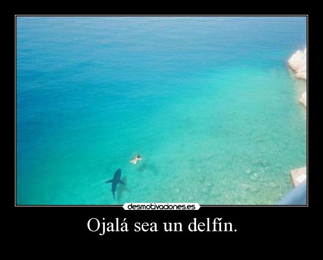 Ojalá sea un delfín. -