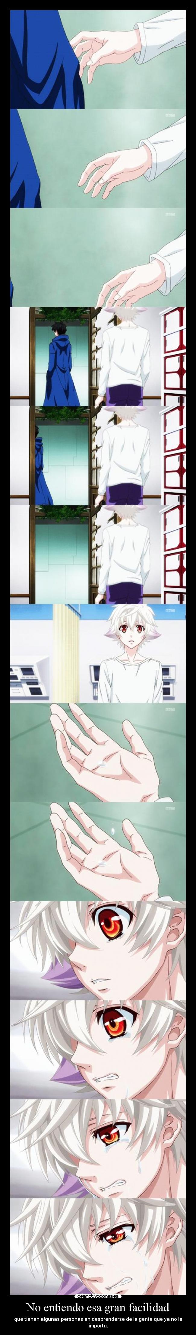 carteles cissnei muwigaraklan karneval pobrecito nai qwq desmotivaciones